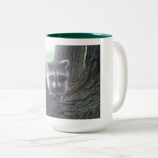 Raccoon in Tree Zweifarbige Tasse (VorderseiteRechts)