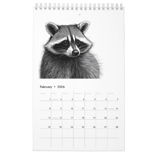 Raccoon Kalender (Feb 2026)