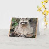 Raccoon Karte (Gelbe Blume)
