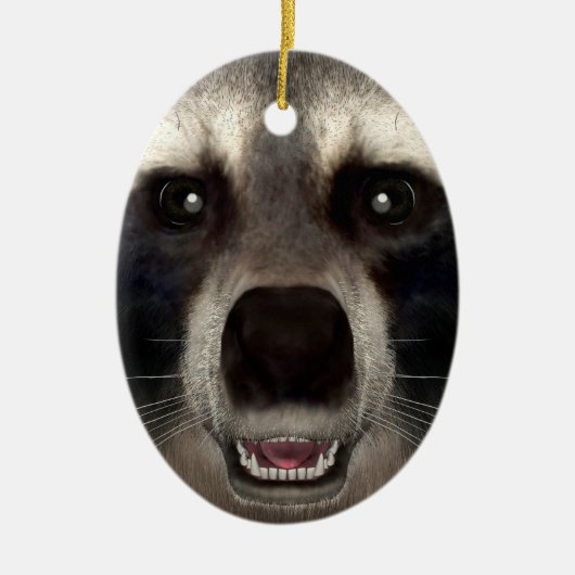 Raccoon Keramik Ornament (Vorne)