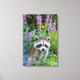 Raccoon Kit unter den Blume Leinwand drucken.