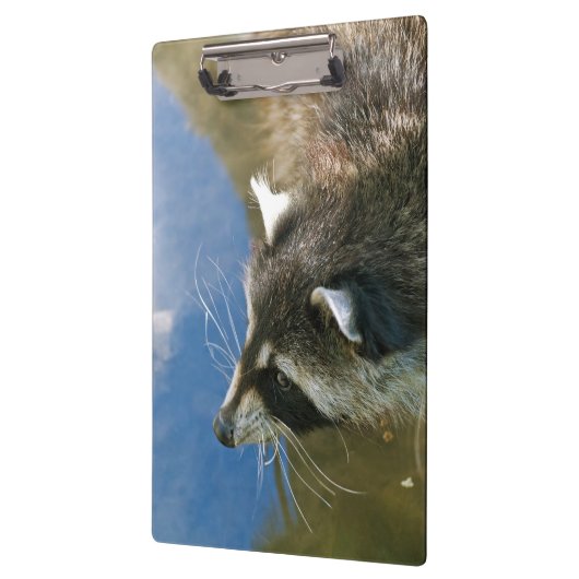 Raccoon Klemmbrett (Links)