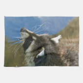 Raccoon Küchentuch (Horizontal)