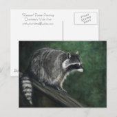 "Raccoon" Kunst, Dichtung und Musik Postkarte (Vorne/Hinten)