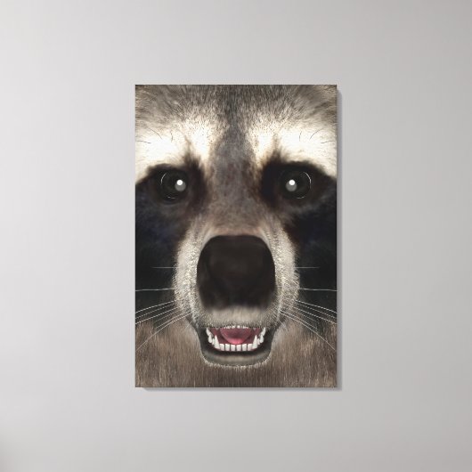 Raccoon Leinwanddruck (Vorderseite)