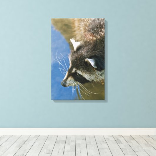 Raccoon Leinwanddruck (Insitu (Holzboden))