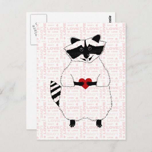 Raccoon-Liebe Postkarte (Vorne/Hinten)