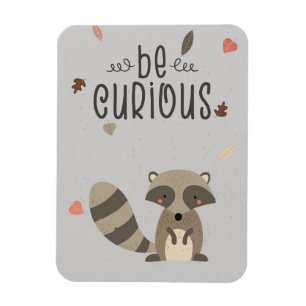 Raccoon Lover Be Neugieriges Raccoon Magnet