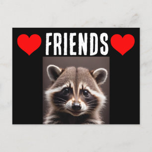 RACCOON LOVER RACCOONS POSTCARDS POSTKARTE
