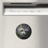Raccoon Magnet (In Situ (Geschirrspüler))