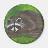 Raccoon Magnet (Vorne)