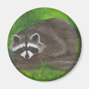 Raccoon Magnet