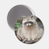 Raccoon Magnet (Vorderseite/Rückseite)
