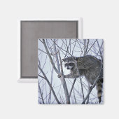 Raccoon Magnet (Vorderseite/Rückseite)