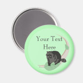 Raccoon-Magnete Magnet (Vorderseite/Rückseite)