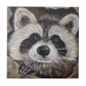 Raccoon-Malerei Fliese (Vorderseite)