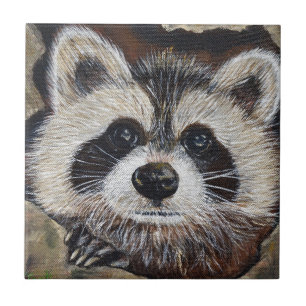 Raccoon-Malerei Fliese
