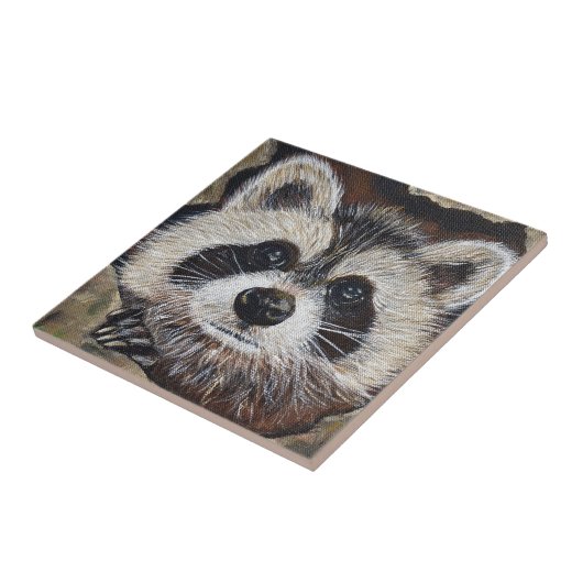 Raccoon-Malerei Fliese (Seite)