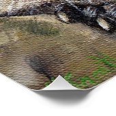 Raccoon-Malerei Poster (Ecke)