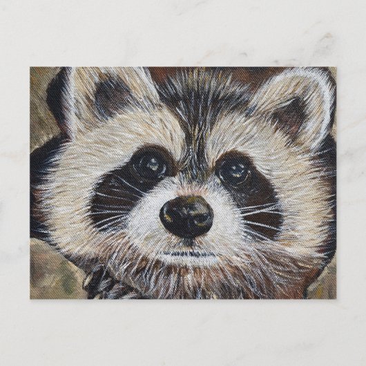 Raccoon-Malerei Postkarte (Vorderseite)