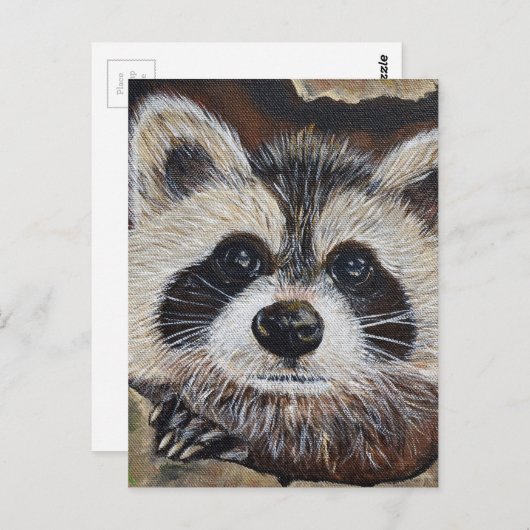 Raccoon-Malerei Postkarte (Vorne/Hinten)