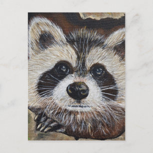 Raccoon-Malerei Postkarte