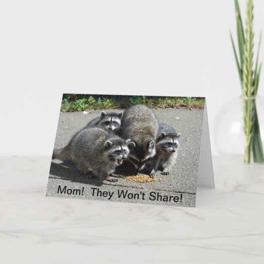Raccoon Mama & Babys Karte (Vorderseite)