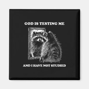 Raccoon Meme Funny Sprichwort God Teste Me Street Magnet