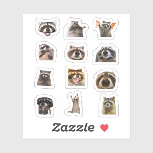 Raccoon Meme Funny Sticker Set Bundle (Blatt)
