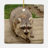 Raccoon mit Chip Keramikornament (Rückseite)