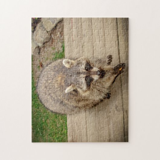Raccoon mit Chip Puzzle (Vertikal)