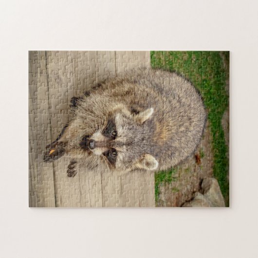 Raccoon mit Chip Puzzle (Horizontal)