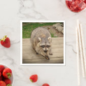Raccoon mit Chip Serviette (Beispiel)