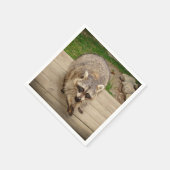 Raccoon mit Chip Serviette (Ecke)