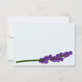 Raccoon mit Lavendel Dankeskarte (Rückseite)