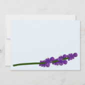 Raccoon mit Lavendel Happy Birthday Einladung (Rückseite)