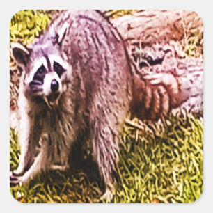 Raccoon mit Lilie-Aufkleber Quadratischer Aufkleber