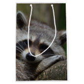 Raccoon Mittlere Geschenktüte (Vorderseite)