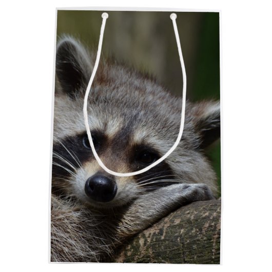 Raccoon Mittlere Geschenktüte (Rückseite)