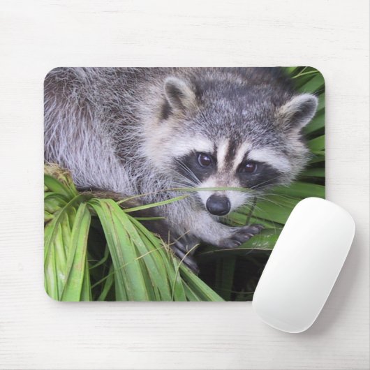 Raccoon Mousepad (Mit Mouse)