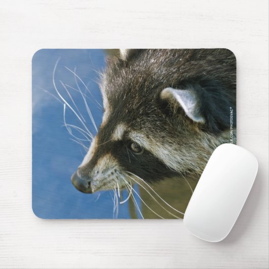 Raccoon Mousepad (Mit Mouse)