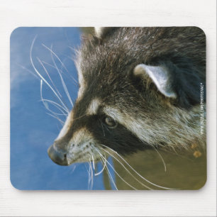 Raccoon Mousepad