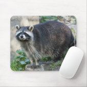 Raccoon Mousepad (Mit Mouse)