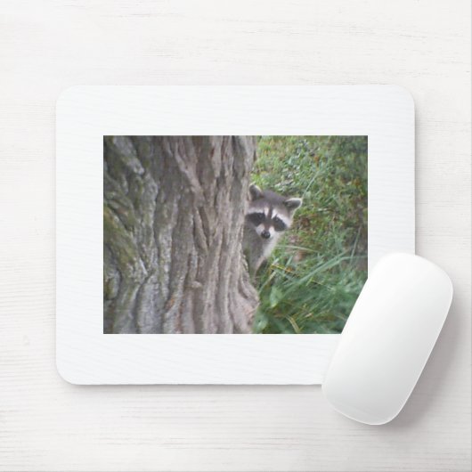 Raccoon Mousepad (Mit Mouse)