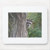 Raccoon Mousepad (Vorne)