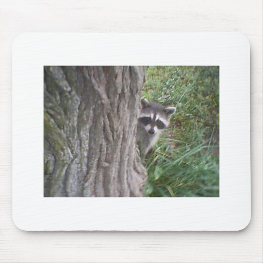 Raccoon Mousepad (Vorne)