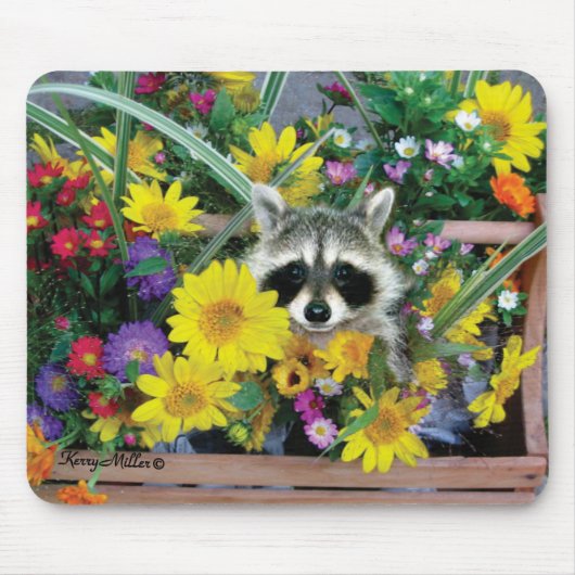 Raccoon Mousepad (Vorne)