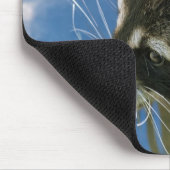 Raccoon Mousepad (Ecke)