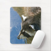 Raccoon Mousepad (Mit Mouse)