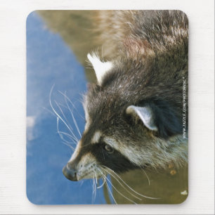 Raccoon Mousepad